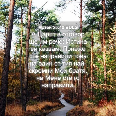 Picture 04 - Матей 25:40 BULG - А Царят в отговор ще им - Bible Verse Picture