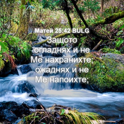 Picture 04 - Матей 25:42 BULG - Защото огладнях и не Ме - Bible Verse Picture