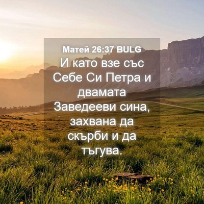 Picture 04 - Матей 26:37 BULG - И като взе със Себе Си - Bible Verse Picture