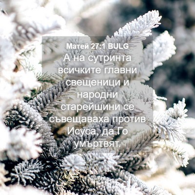 Picture 04 - Матей 27:1 BULG - А на сутринта всичките - Bible Verse Picture