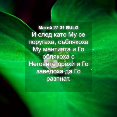 Picture 04 - Матей 27:31 BULG - И след като Му се поругаха, - Bible Verse Picture