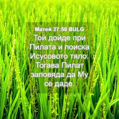 Picture 04 - Матей 27:58 BULG - Той дойде при Пилата и - Bible Verse Picture