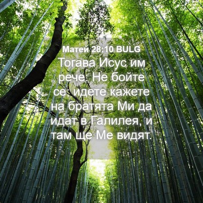 Picture 04 - Матей 28:10 BULG - Тогава Исус им рече: Не - Bible Verse Picture