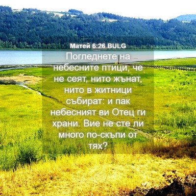 Picture 04 - Матей 6:26 BULG - Погледнете на небесните - Bible Verse Picture