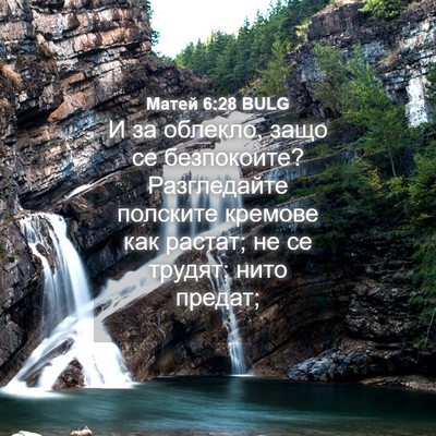 Picture 04 - Матей 6:28 BULG - И за облекло, защо се - Bible Verse Picture