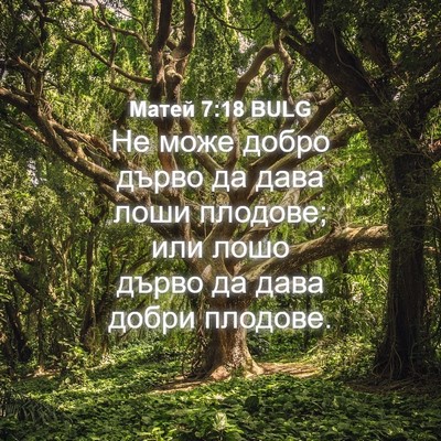 Picture 04 - Матей 7:18 BULG - Не може добро дърво да дава - Bible Verse Picture