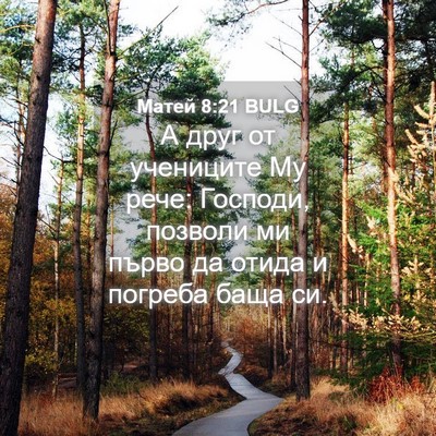 Picture 04 - Матей 8:21 BULG - А друг от учениците Му - Bible Verse Picture
