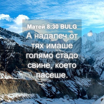 Picture 04 - Матей 8:30 BULG - А надалеч от тях имаше - Bible Verse Picture