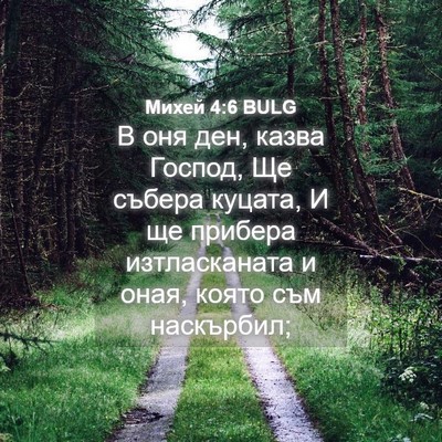 Picture 04 - Михей 4:6 BULG - В оня ден, казва Господ, Ще - Bible Verse Picture