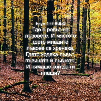 Picture 04 - Наум 2:11 BULG - Где е ровът на лъвовете, И - Bible Verse Picture