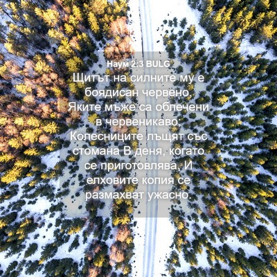 Picture 04 - Наум 2:3 BULG - Щитът на силните му е - Bible Verse Picture