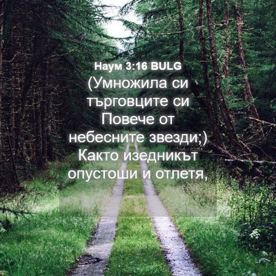 Picture 04 - Наум 3:16 BULG - (Умножила си търговците си - Bible Verse Picture