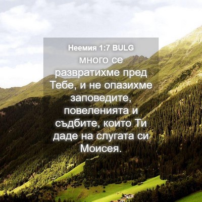 Picture 04 - Неемия 1:7 BULG - много се развратихме пред - Bible Verse Picture