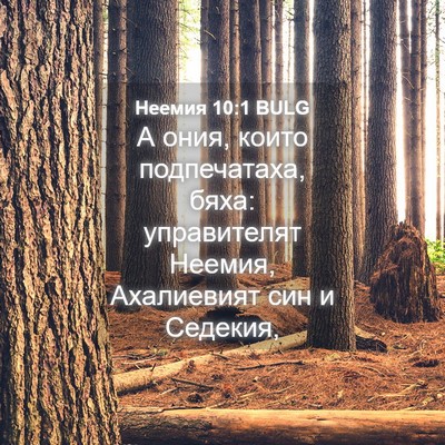 Picture 04 - Неемия 10:1 BULG - А ония, които подпечатаха, - Bible Verse Picture