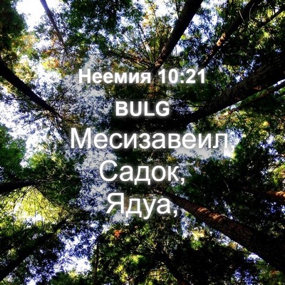 Picture 04 - Неемия 10:21 BULG - Месизавеил, Садок, - Bible Verse Picture