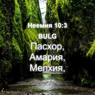 Picture 04 - Неемия 10:3 BULG - Пасхор, Амария, - Bible Verse Picture
