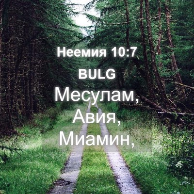 Picture 04 - Неемия 10:7 BULG - Месулам, Авия, - Bible Verse Picture