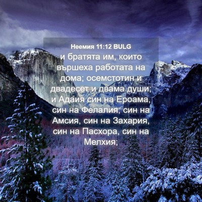 Picture 04 - Неемия 11:12 BULG - и братята им, които вършеха - Bible Verse Picture