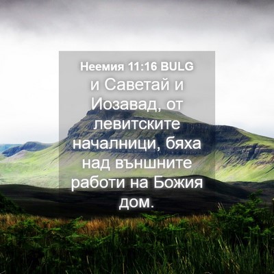 Picture 04 - Неемия 11:16 BULG - и Саветай и Иозавад, от - Bible Verse Picture