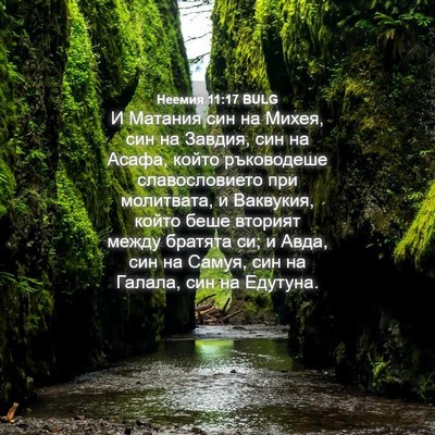 Picture 04 - Неемия 11:17 BULG - И Матания син на Михея, син - Bible Verse Picture