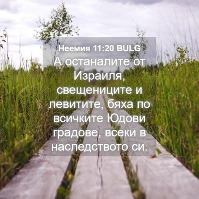 Picture 04 - Неемия 11:20 BULG - А останалите от Израиля, - Bible Verse Picture