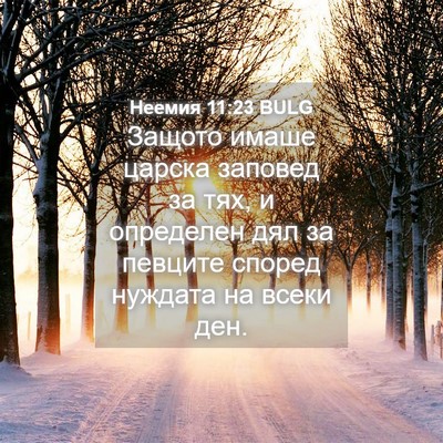 Picture 04 - Неемия 11:23 BULG - Защото имаше царска - Bible Verse Picture