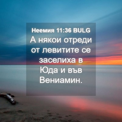 Picture 04 - Неемия 11:36 BULG - А някои отреди от левитите - Bible Verse Picture
