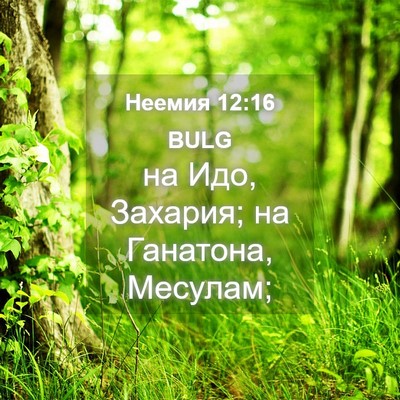 Picture 04 - Неемия 12:16 BULG - на Идо, Захария; на - Bible Verse Picture
