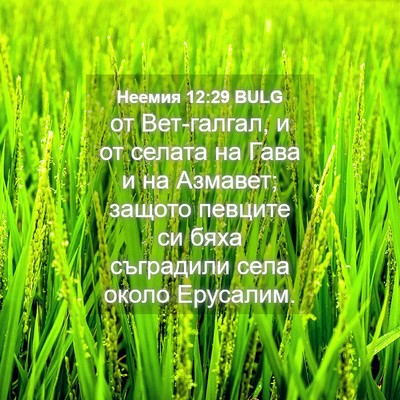 Picture 04 - Неемия 12:29 BULG - от Вет-галгал, и от селата - Bible Verse Picture