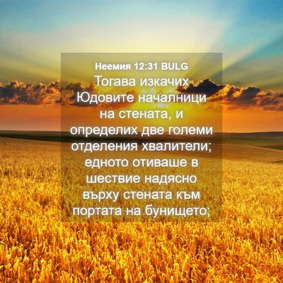 Picture 04 - Неемия 12:31 BULG - Тогава изкачих Юдовите - Bible Verse Picture