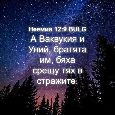 Picture 04 - Неемия 12:9 BULG - А Ваквукия и Уний, братята - Bible Verse Picture