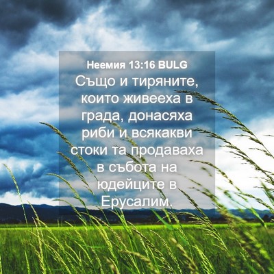 Picture 04 - Неемия 13:16 BULG - Също и тиряните, които - Bible Verse Picture