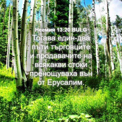 Picture 04 - Неемия 13:20 BULG - Тогава един-два пъти - Bible Verse Picture