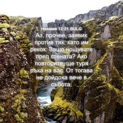 Picture 04 - Неемия 13:21 BULG - Аз, прочее, заявих против - Bible Verse Picture