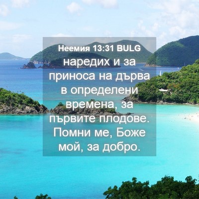 Picture 04 - Неемия 13:31 BULG - наредих и за приноса на - Bible Verse Picture