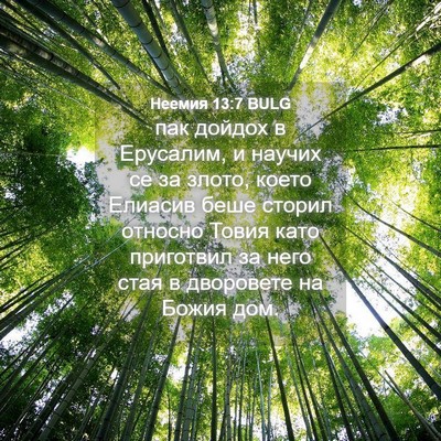 Picture 04 - Неемия 13:7 BULG - пак дойдох в Ерусалим, и - Bible Verse Picture