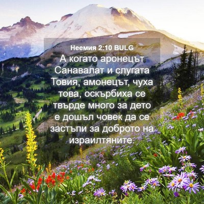 Picture 04 - Неемия 2:10 BULG - А когато аронецът - Bible Verse Picture