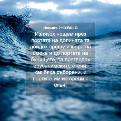 Picture 04 - Неемия 2:13 BULG - Излязох нощем през портата - Bible Verse Picture