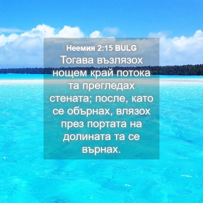 Picture 04 - Неемия 2:15 BULG - Тогава възлязох нощем край - Bible Verse Picture
