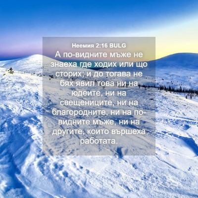 Picture 04 - Неемия 2:16 BULG - А по-видните мъже не знаеха - Bible Verse Picture
