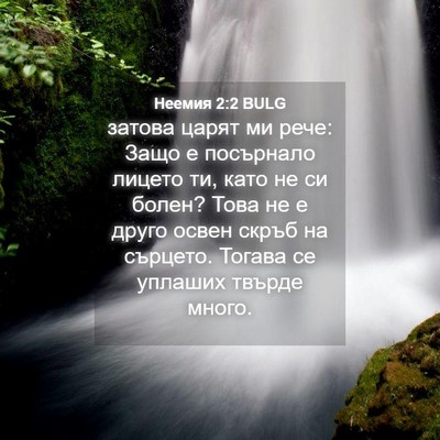 Picture 04 - Неемия 2:2 BULG - затова царят ми рече: Защо - Bible Verse Picture