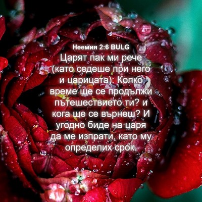 Picture 04 - Неемия 2:6 BULG - Царят пак ми рече (като - Bible Verse Picture