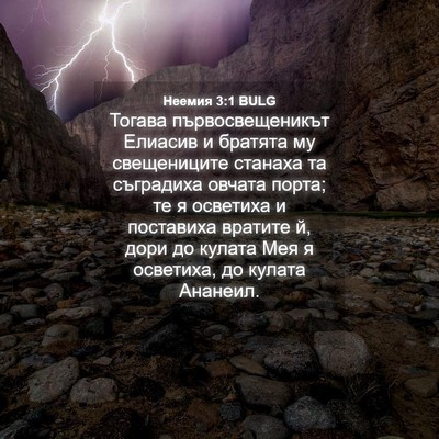 Picture 04 - Неемия 3:1 BULG - Тогава първосвещеникът - Bible Verse Picture