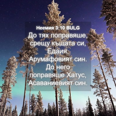 Picture 04 - Неемия 3:10 BULG - До тях поправяше, срещу - Bible Verse Picture