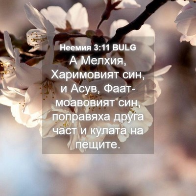 Picture 04 - Неемия 3:11 BULG - А Мелхия, Харимовият син, и - Bible Verse Picture