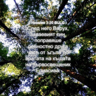 Picture 04 - Неемия 3:20 BULG - След него Варух, Заваевият - Bible Verse Picture