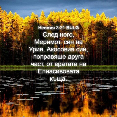 Picture 04 - Неемия 3:21 BULG - След него, Меримот, син на - Bible Verse Picture