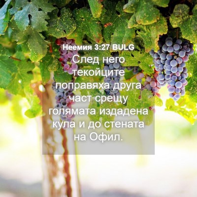 Picture 04 - Неемия 3:27 BULG - След него текойците - Bible Verse Picture