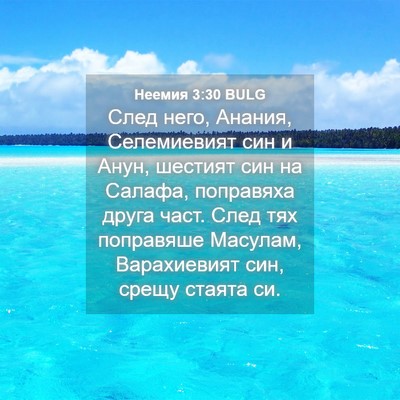 Picture 04 - Неемия 3:30 BULG - След него, Анания, - Bible Verse Picture