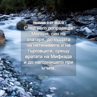Picture 04 - Неемия 3:31 BULG - След него поправяше - Bible Verse Picture